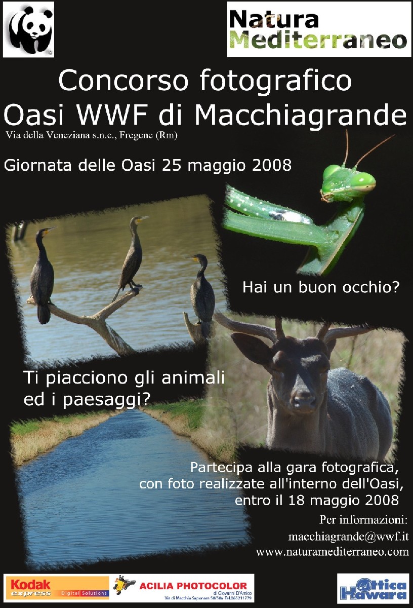 Concorso fotografico Giornata delle Oasi WWF Macchiagrande